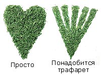 Бикини дизайн