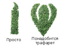 Бикини дизайн